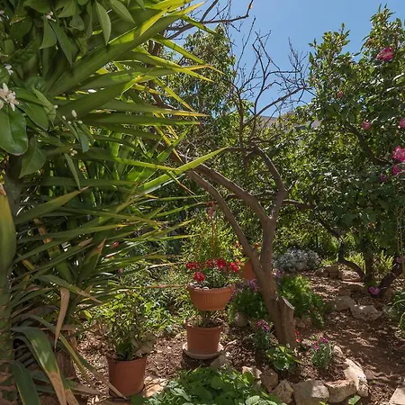 Appartement Mare Trogir