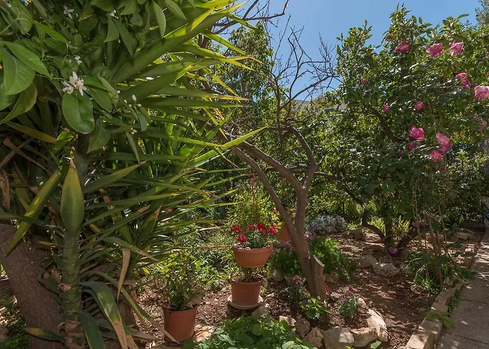 Appartement Mare Trogir