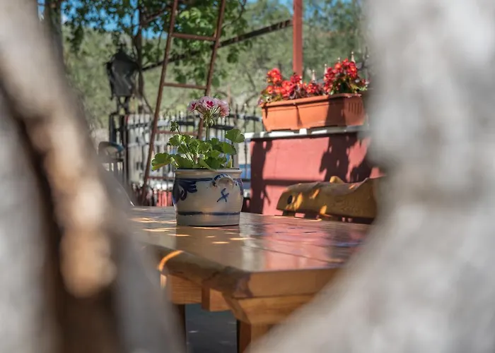 Mare شقة تروغير