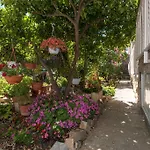 Mare Trogir