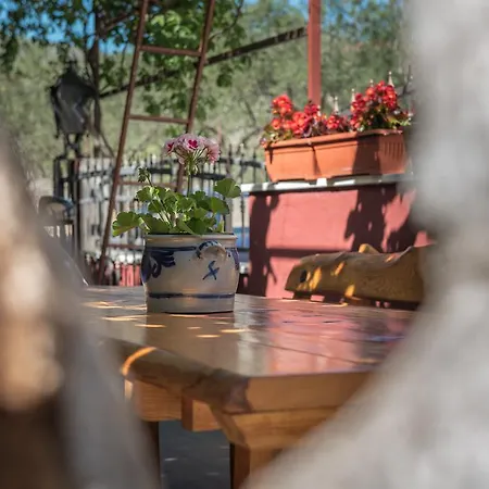 Mare Apartman Trogir
