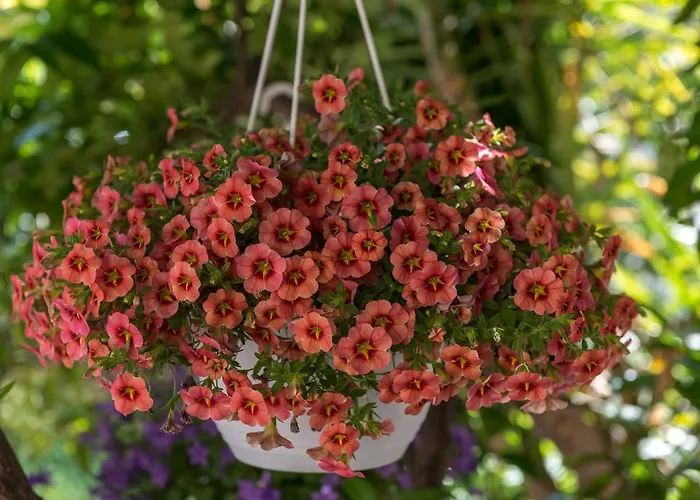 Lägenhet Mare Trogir