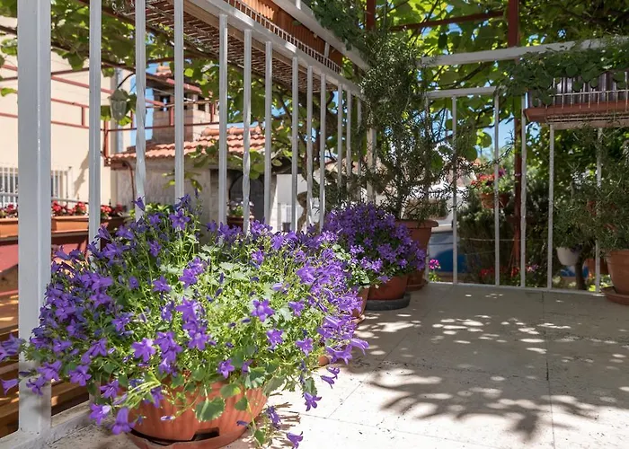 Lägenhet Mare Trogir